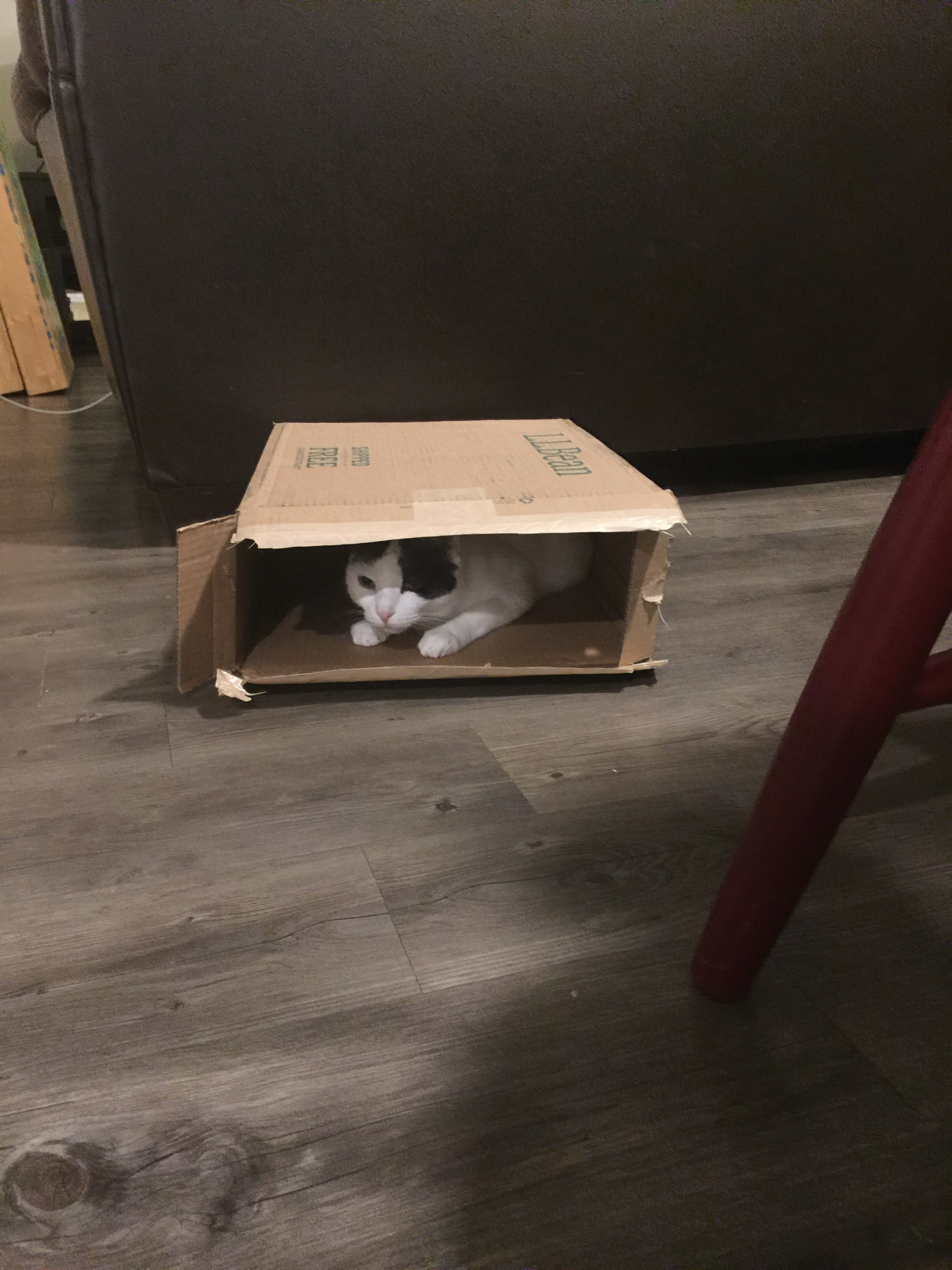 Thinking outside the box – Fortune 500 edition