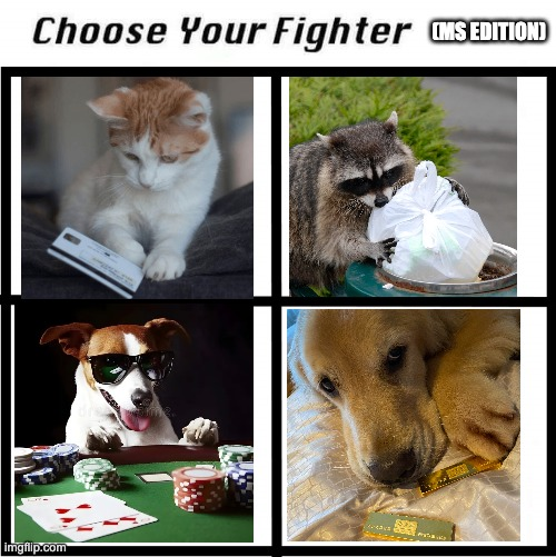 Choosing your MS fighter